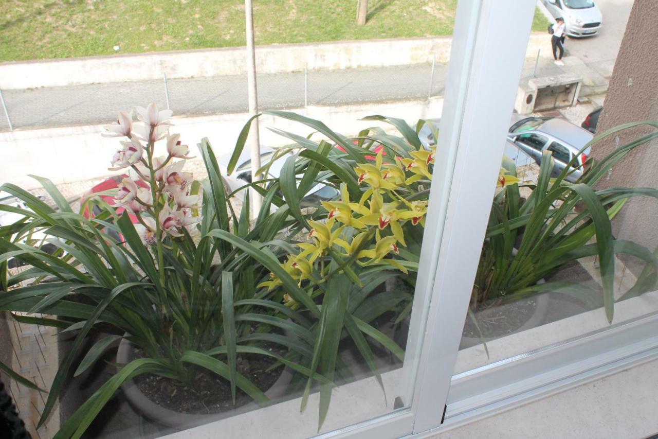 Saladina Apartment Setubal Exterior photo